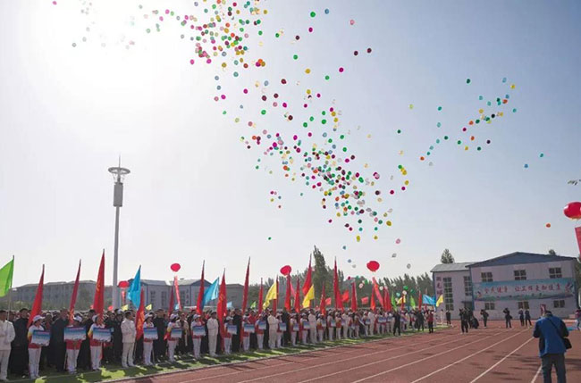 �l�x�����\�ӕ��_Ļ�xʽ