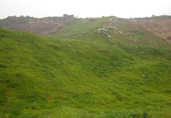 �Vɽ���B�h������