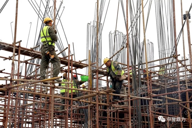 ʩ���F���DƬ