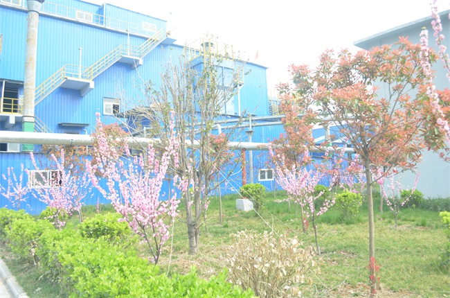 �S�^(q��)��(n��i)�ľGֲ